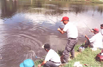 Lafiandre mostrando sua técnica